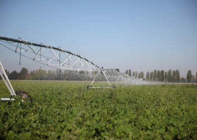 Irrigation on field crops