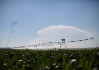 Irrigation on field crops