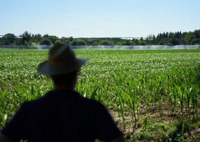 Accessoires pour l'irrigation