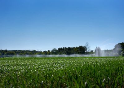 Accessoires pour l'irrigation