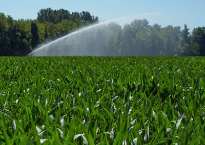 Canon à eau pour l'irrigation