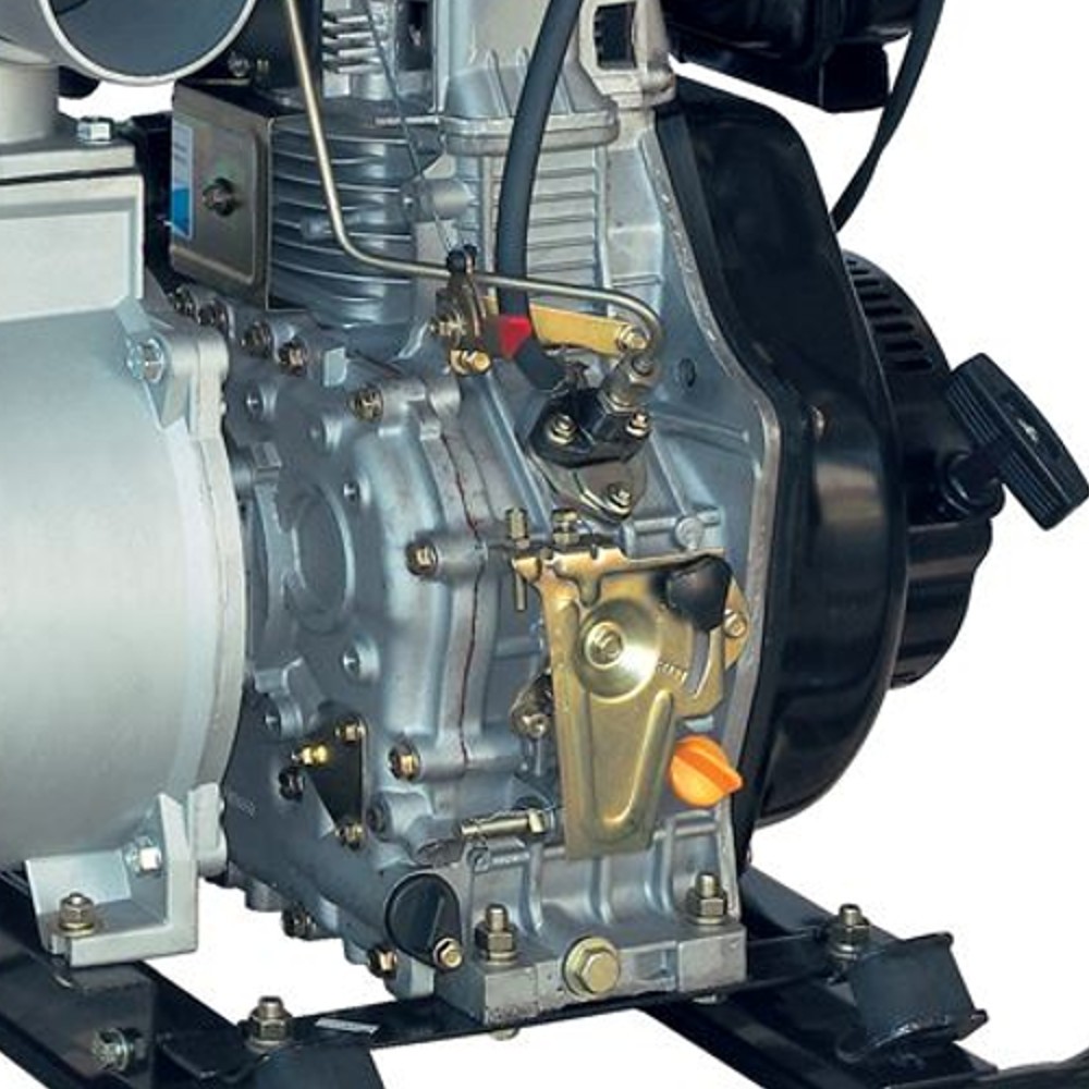 Generalüberholt - Elektrische Dieselpumpe PROTANK 50 - Spannung 230V 50Hz -  Abgabeschlauch 4 m, 1