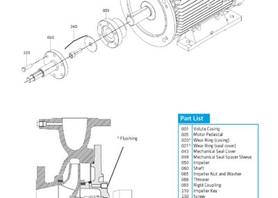 Schema der horizontalen Industriekreiselpumpe EIP-ECO-SNM mit einer Kapazität von 600 m³/h, ermöglicht den Flüssigkeitstransfer in verschiedenen industriellen Anwendungen.