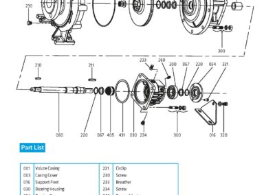 Schema della pompa centrifuga ad alta temperatura appositamente progettata per resistere alle alte temperature. Ideale per il trasferimento termico industriale.